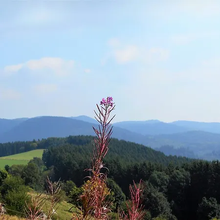 Blickfang Apartman Winterberg