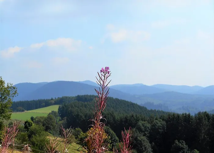 Blickfang Daire Winterberg